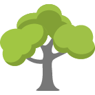 Pataskala Tree Trimming