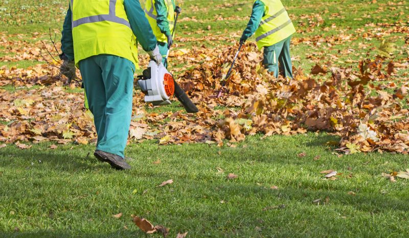 Leaf Blowing for Quick Cleanup
