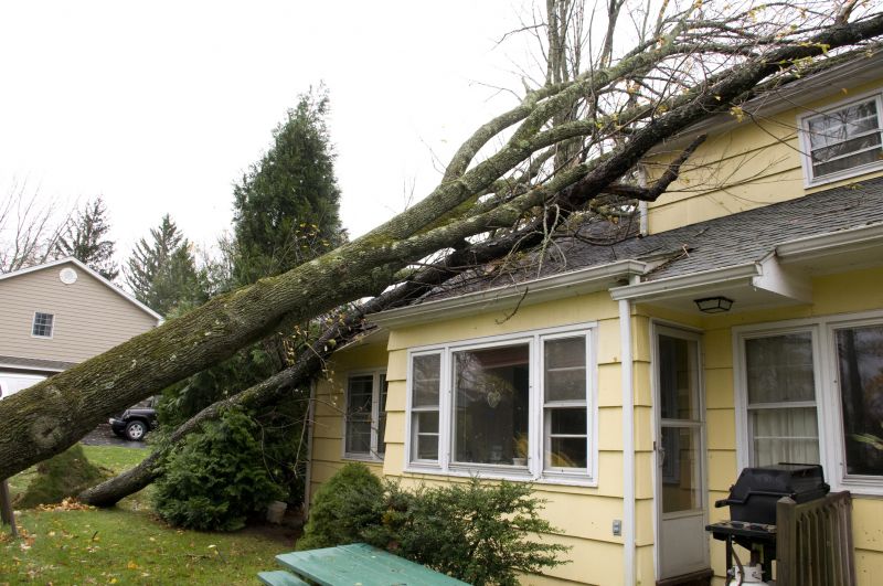 Property Damage Assessment