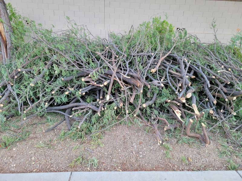 Summer Foliage Trimming